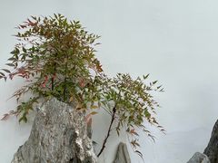 -中国昆曲博物馆