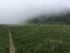 -白草畔自然风景区