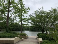 -新江湾城公园