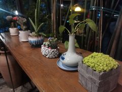 店内布置-生机蔬食·24节气料理餐厅(番禺广场店)