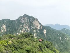 -大岭沟猕猴桃谷风景区