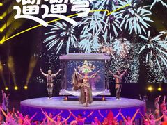 -广州长隆国际大马戏
