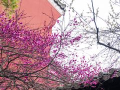 -钱王祠