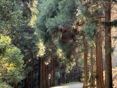 -山王坪喀斯特国家生态公园