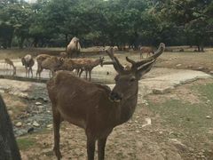 -西安秦岭野生动物园