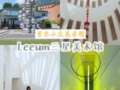 -三星美术馆Leeum
