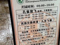 -西双版纳原始森林公园