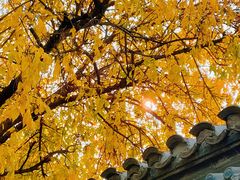 -VOYAGE COFFEE(北锣鼓巷店)