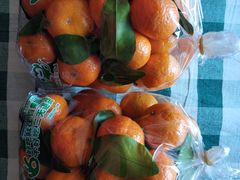 -百果园PAGODA(西四地铁站店)