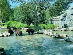 -北京野生动物园