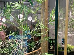 -绿茶餐厅(滨海万达广场店)