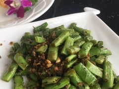 -云中小雅