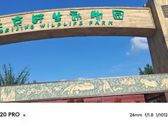 -北京野生动物园