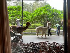 -南宁荔园维景国际酒店·荔园中餐厅
