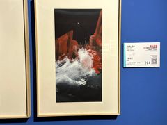 -【朵云轩艺术中心】博洛尼亚插画展·中国巡展·上海站