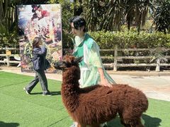 -灵玲国际马戏城