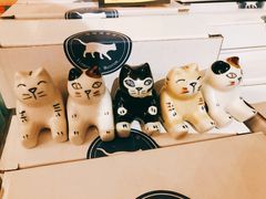 -猫咪博物馆(顶澳仔猫街店)