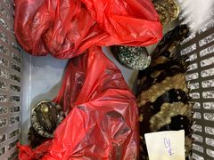 -外滩18号海鲜(三亚湾龙兴海鲜广场店)