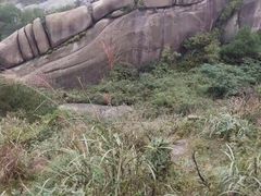 -大罗山风景区