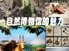 -国家自然博物馆