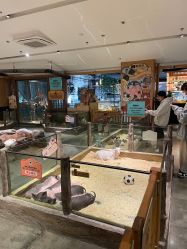-造物庄园 萌宠纪(苏州湾歌林公园店)