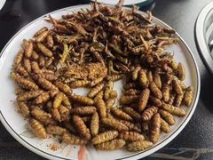 -野菌皇海景野生菌火锅(滨海大道店)