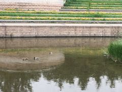 -元大都城垣遗址公园