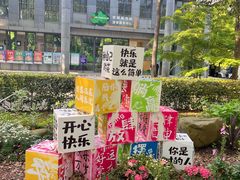 -上海共青森林公园