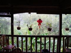 -傣泐金湾餐厅