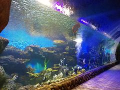 -华夏文旅海洋公园