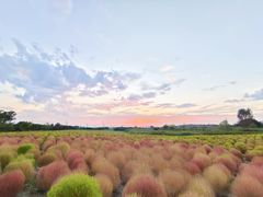 -映月湖中央公园