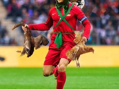 -金楚轩时尚餐厅(金涛铭座店)