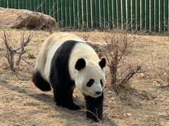 -沈阳森林动物园