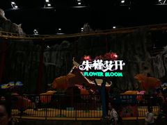 -南宁万达茂娱乐岛