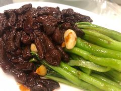 蘑菇-山南熏肉大饼(辽菜旗舰店)