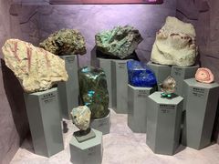 -正佳自然科学博物馆