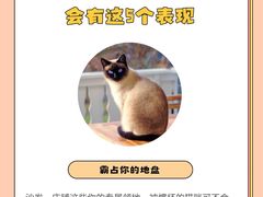 -佩兹宠物医院肿瘤专科·眼科·牙科(黄浦店)