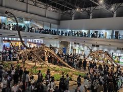 -自贡恐龙博物馆