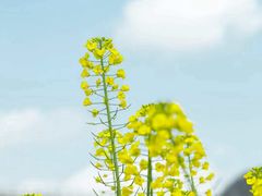 -贵阳市花溪国家城市湿地公园