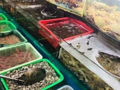 水产区-富港会·海鲜酒楼(墟沟店)