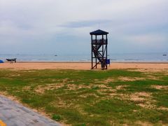 -日照海滨国家森林公园