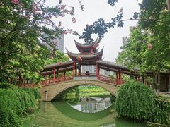 -龙潭水乡