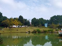 -铁山坪森林公园