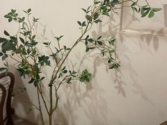 -奈诺甜品·生日蛋糕·下午茶(古城店)