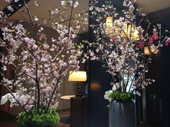 -苏宁钟山国际高尔夫酒店大堂酒廊