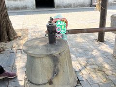 -同里国家湿地公园