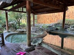 -明月山天沐温泉度假村