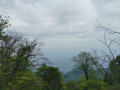 -大围山国家森林公园