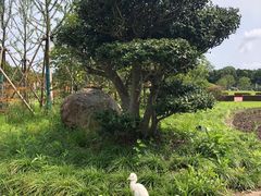 -上海怡沁园度假酒店