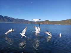 -丽江泸沽湖景区